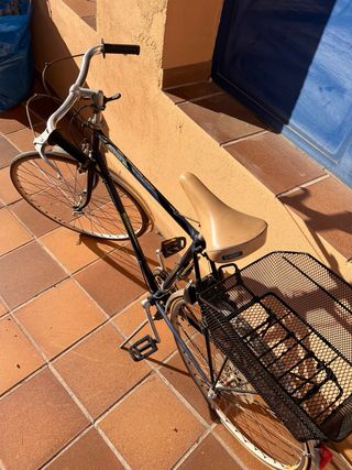 Bicicleta clásica vintage