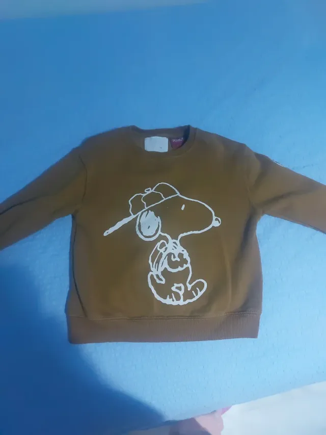 Sudadera Snoopy T7 Zara