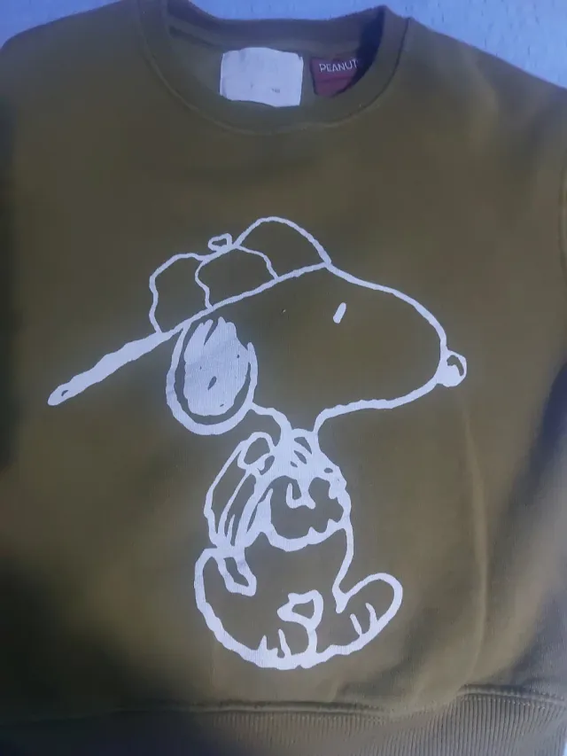 Sudadera Snoopy T7 Zara