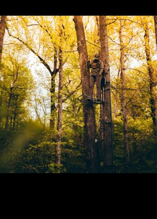 : BIG FOOT ROGUE XL HANG-ON