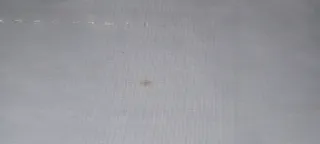 2 Tende a rullo bianche