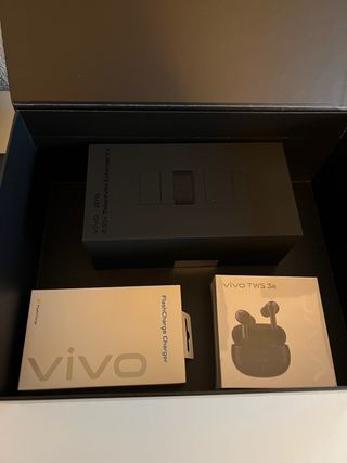 Vivo X300 Pro (GLOBAL)