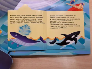Libro Gioca & conosci... Gli abitanti del mare