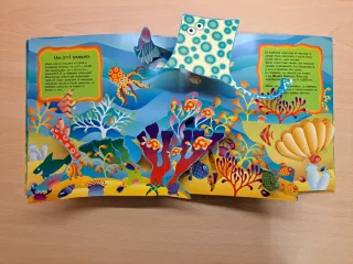 Libro Gioca & conosci... Gli abitanti del mare