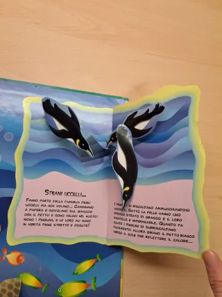 Libro Gioca & conosci... Gli abitanti del mare