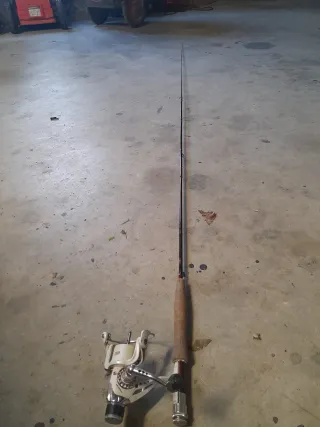 Carrete de pesca y caña