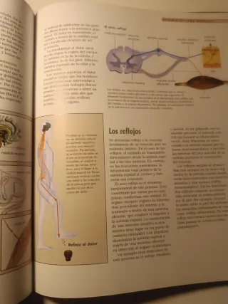Libro: El Cuerpo Humano
