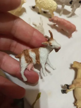 Belén Pastor y animales