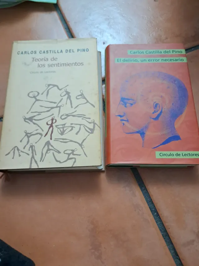 El delirio, un error necesario