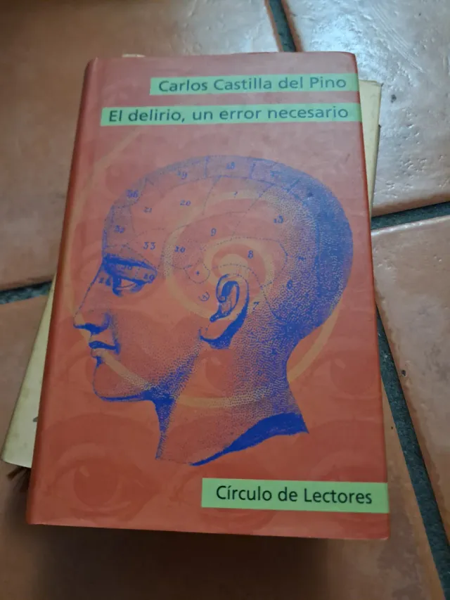 El delirio, un error necesario