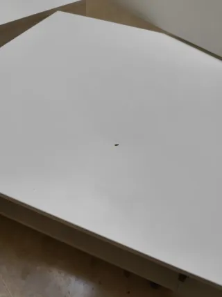 Ikea Slakt + transporte