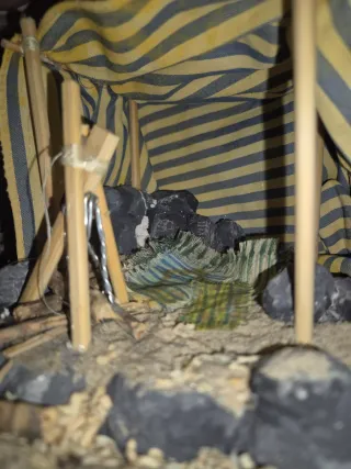 Casa tipo jaima árabe para Belén