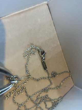 Collar y pendientes Calvin Klein plata y blanco