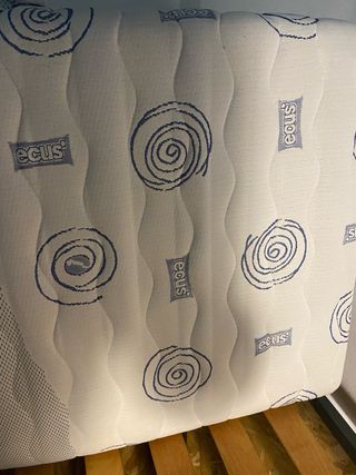 Colchones 75x199 con somieres