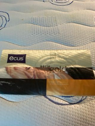 Colchones 75x199 con somieres