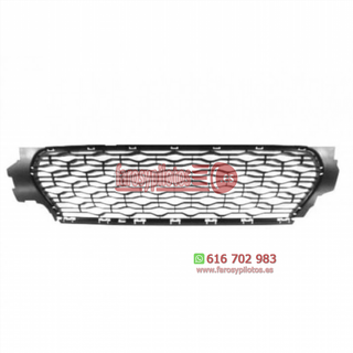 Rejilla Paragolpes Delantero Dacia Duster Años 20
