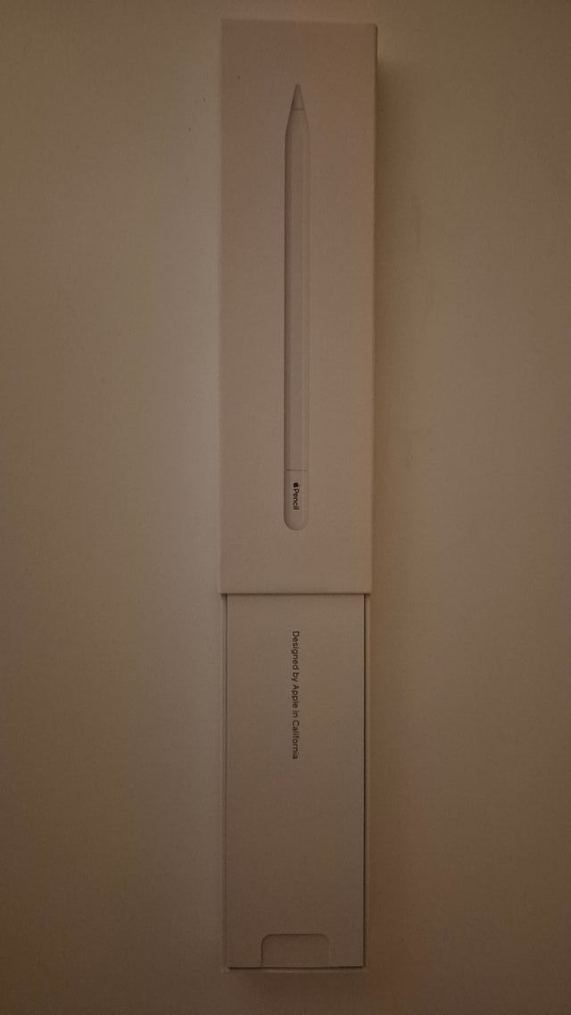 Apple Pencil (USB C)