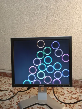 Monitor Dell Negro 17''.