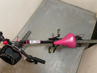 Bicicleta niña 20 pulgadas, extra cesta y pata.