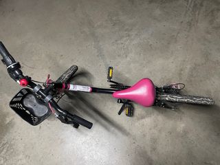 Bicicleta niña 20 pulgadas, extra cesta y pata.