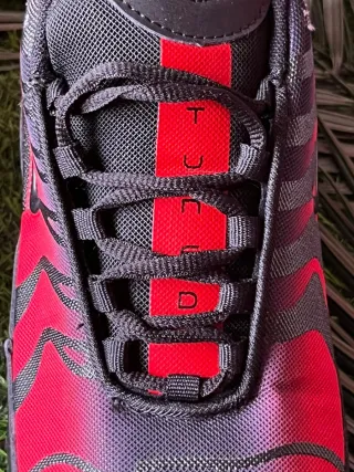 Zapatillas Nike Air Max Plus Reflected "TN"