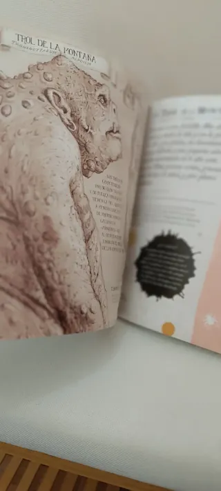 LIBRO Harry Potter Viaje por historia de la MAGIA