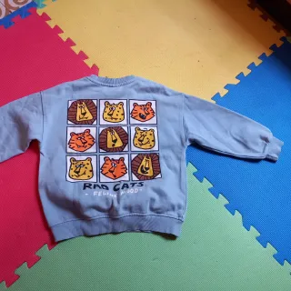 Sudadera niño Zara azul