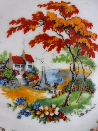 Plato de porcelana inglesa decorado