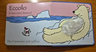 Dov'è il mio orso bianco?