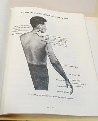 Localización manual de los puntos de acupuntura