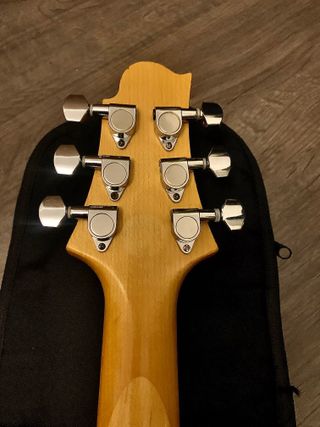 Guitarra Eléctrica Gregg Bennett Design Superstrat