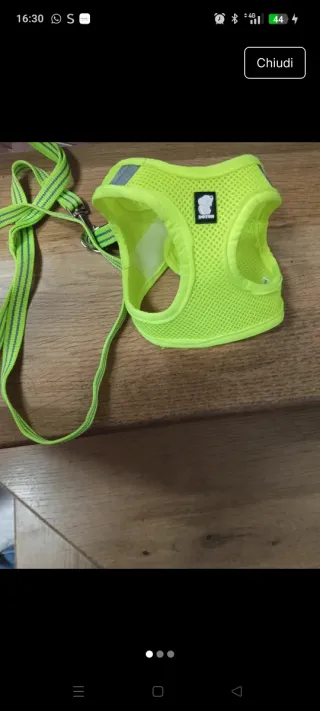 Pettorina per cani/gatti neon