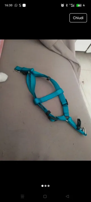 Pettorina per cani e gatti