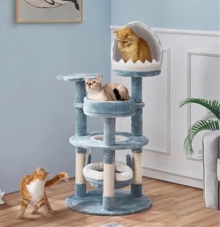 Rascador Gatos Estilo Océano Nuevo