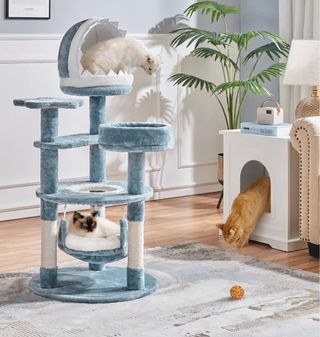 Rascador Gatos Estilo Océano Nuevo