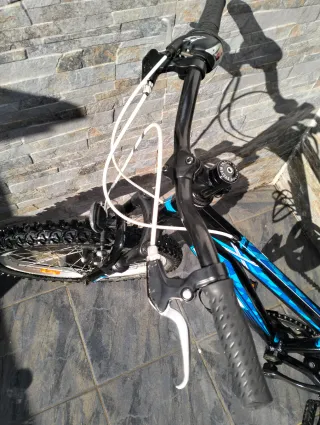 Bicicleta Infantil WCR 20 pulgadas escuela