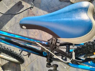 Bicicleta Infantil WCR 20 pulgadas escuela