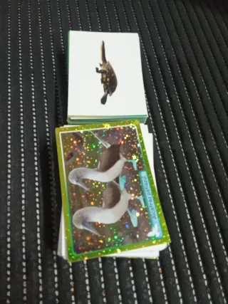 Lote 200 cromos animales 2014 ref 25