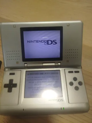 Nintendo DS Gris + Cargador y Juegos
