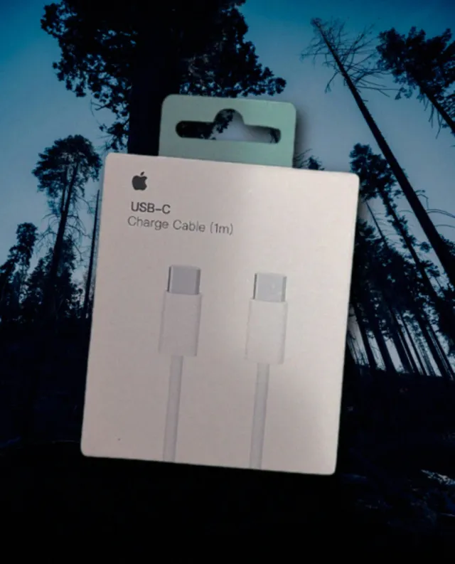 Cable Carga Apple USB-C (1m)