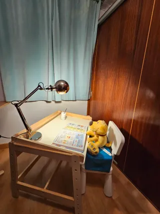 Mesa y Silla Infantil IKEA Flisat