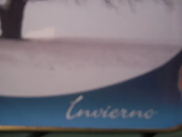 Set di 4 lattine metalliche "Le Quattro stagioni"