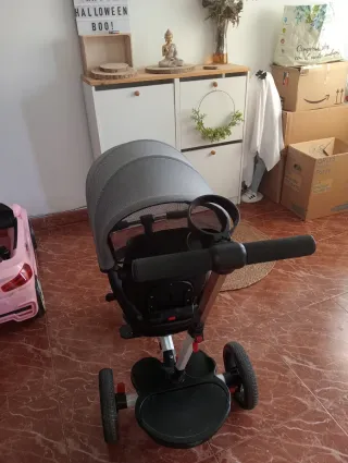 Triciclo evolutivo gris