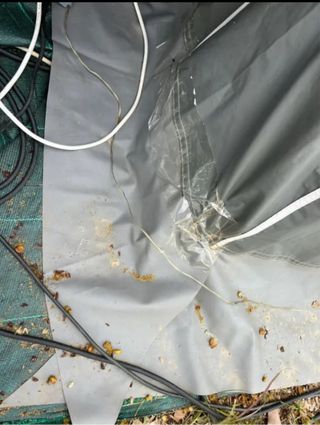 Avance Caravana 1050