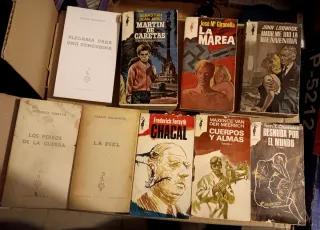Lote de 9 Libri Classici e Contemporanei