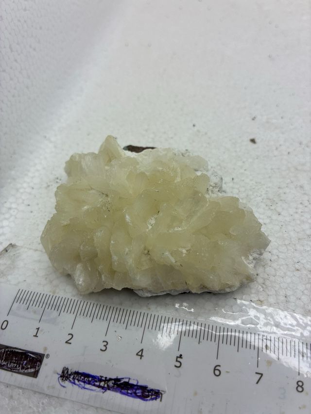 Estilbita natural india