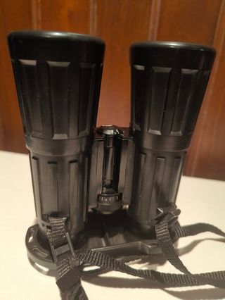 Prismáticos Zeiss Dialyt 10x40 B T*