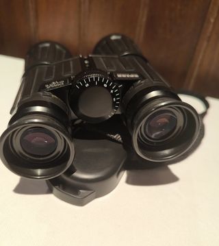 Prismáticos Zeiss Dialyt 10x40 B T*