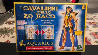 Cavalieri dello Zodiaco Aquarius Personaggio Trasf