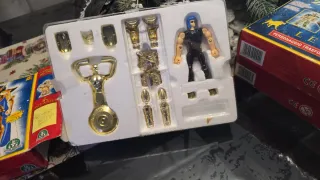 Cavalieri dello Zodiaco Aquarius Personaggio Trasf